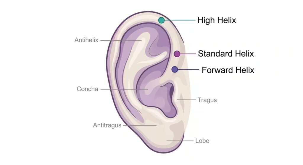 Helix placement diagram