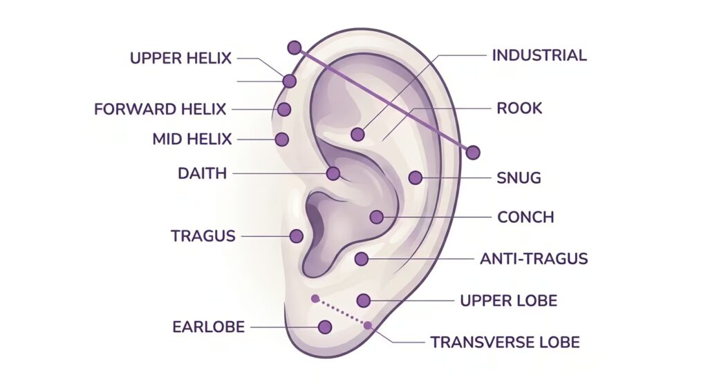 The Complete Ear Piercing Reference Table
