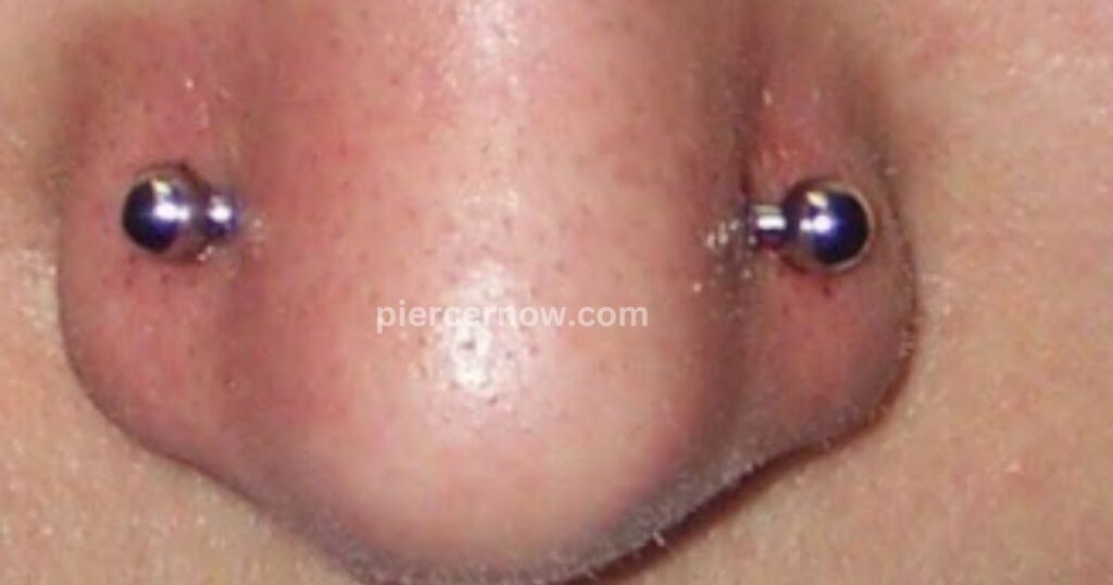 nasallang types of nose piercing