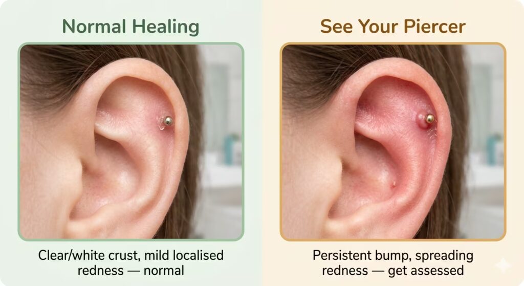 A clean educational split image.