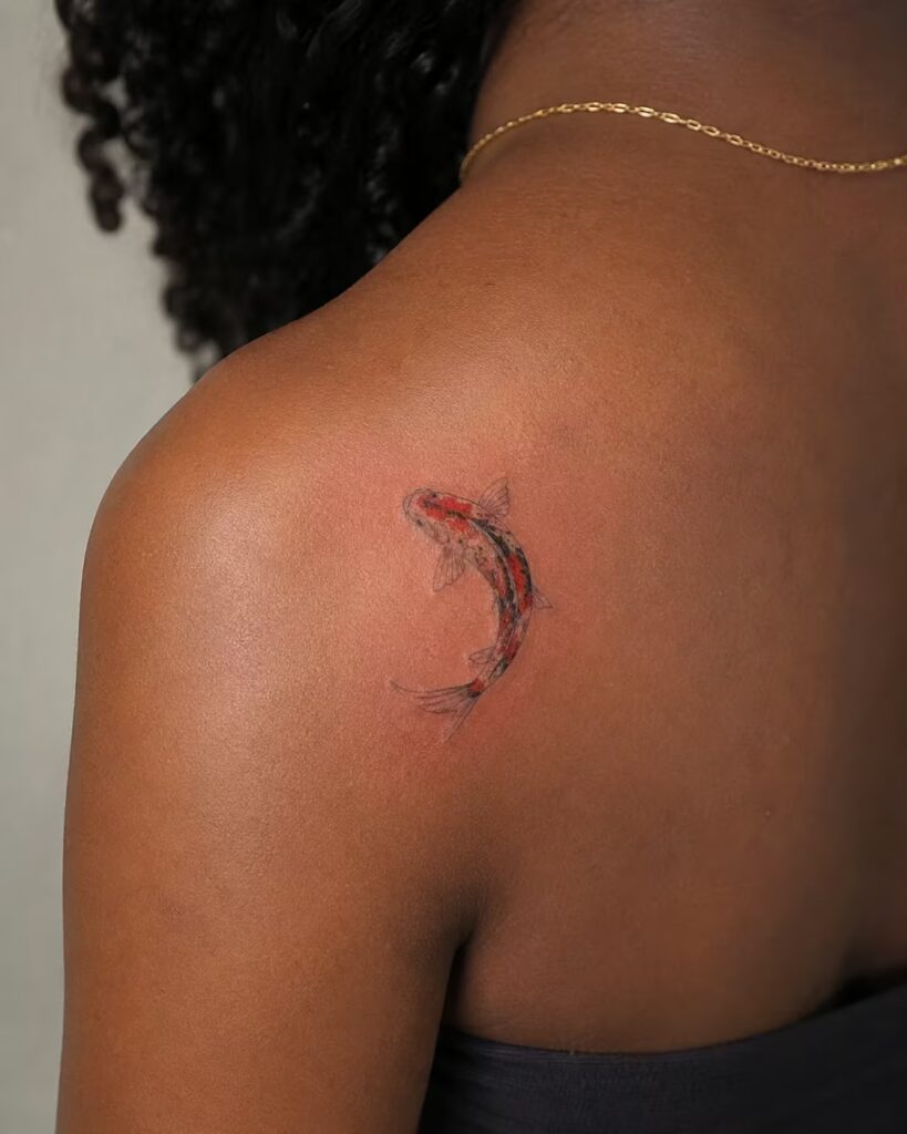 Red and Black Circling Koi